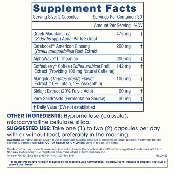 Fast-Acting Nootropic - 60 capsules - Image 2