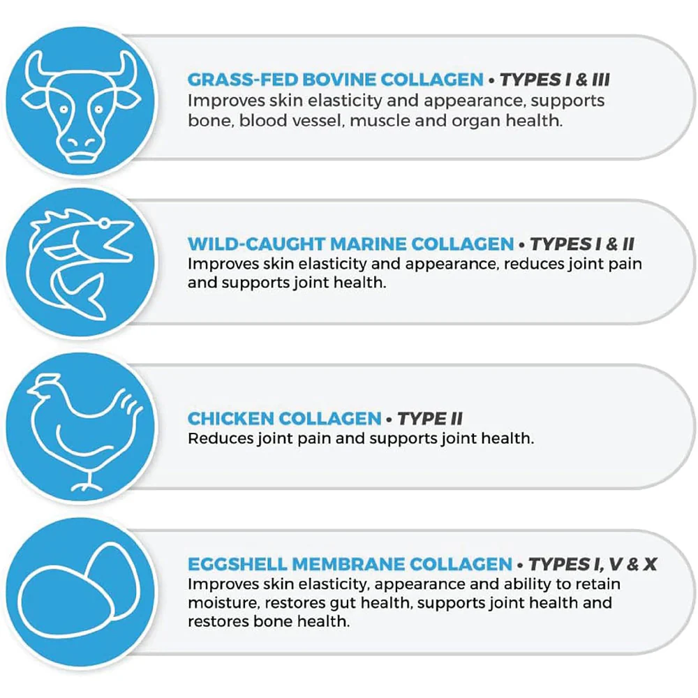 Longevity Collagen + TYPE I, II, III, V, & X Hydrolyzed Collagen Peptides Unflavored Powder - 690 grams - Image 6