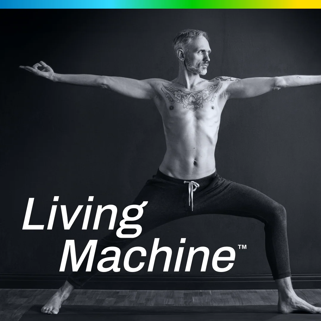 NMN Pro 250™ Sustained Release - Uthever® NMN, 250 mg, 60 tabs - Living Machine™ - 3-Pack - Image 4